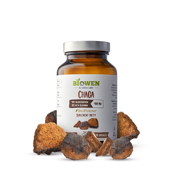 Chaga - 400mg - 90kaps